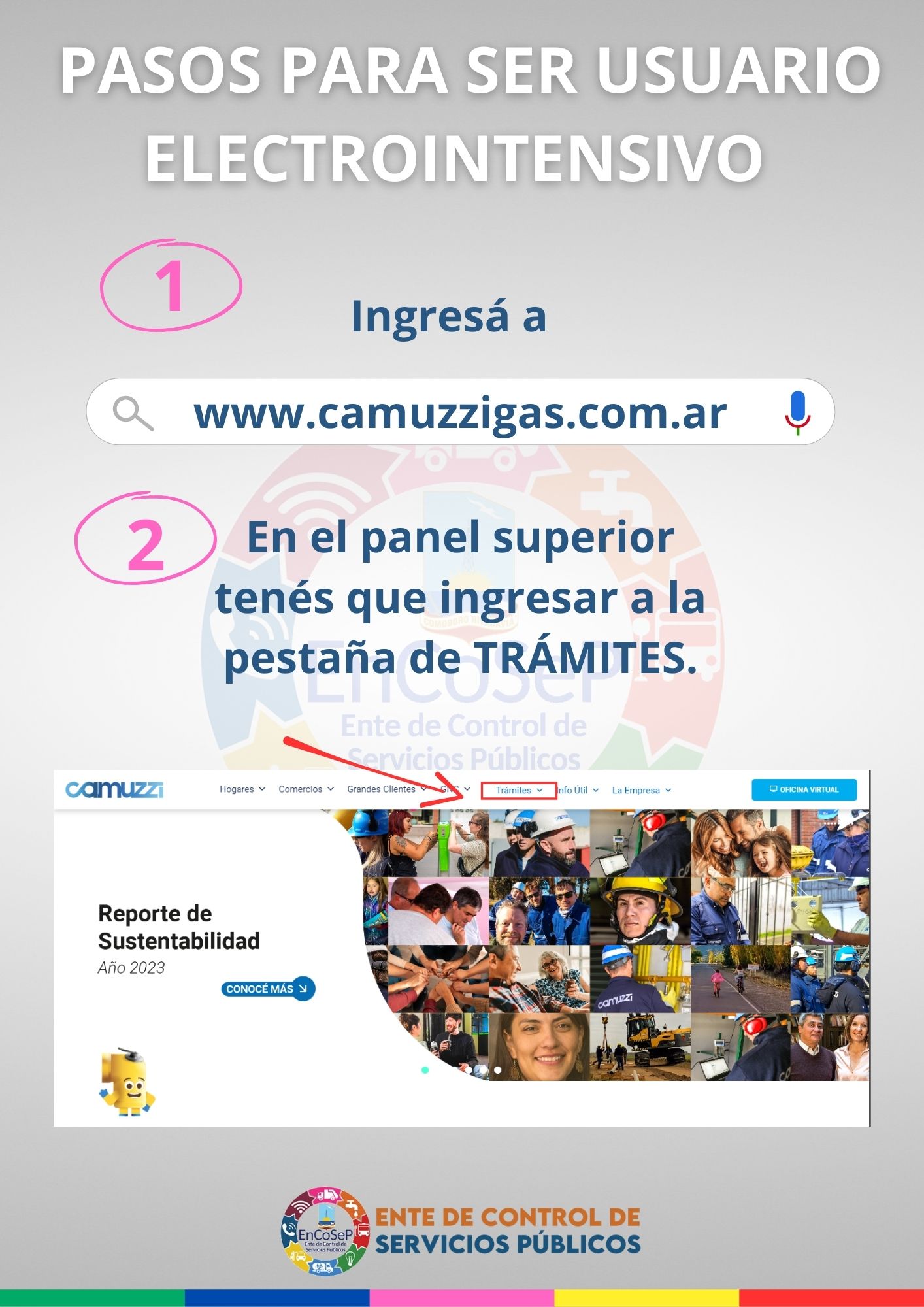 Galería de imágenes: ¿Cómo registrarse como usuario electro intensivo?