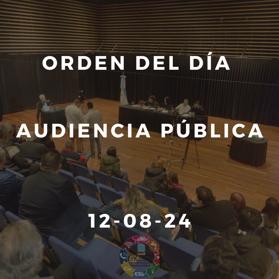 AUDIENCIA PÚBLICA: ORDEN DEL DÍA 12-08-24