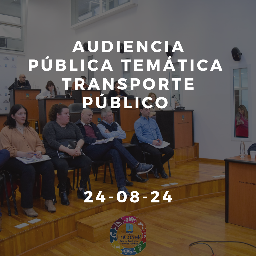 Audiencia pública temática Transporte Público 
